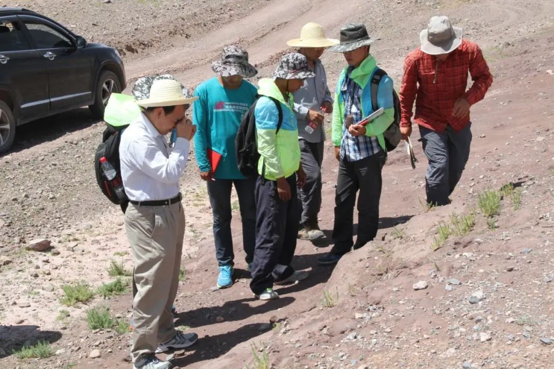 1586309328919678.jpg 1586309328919678.jpg